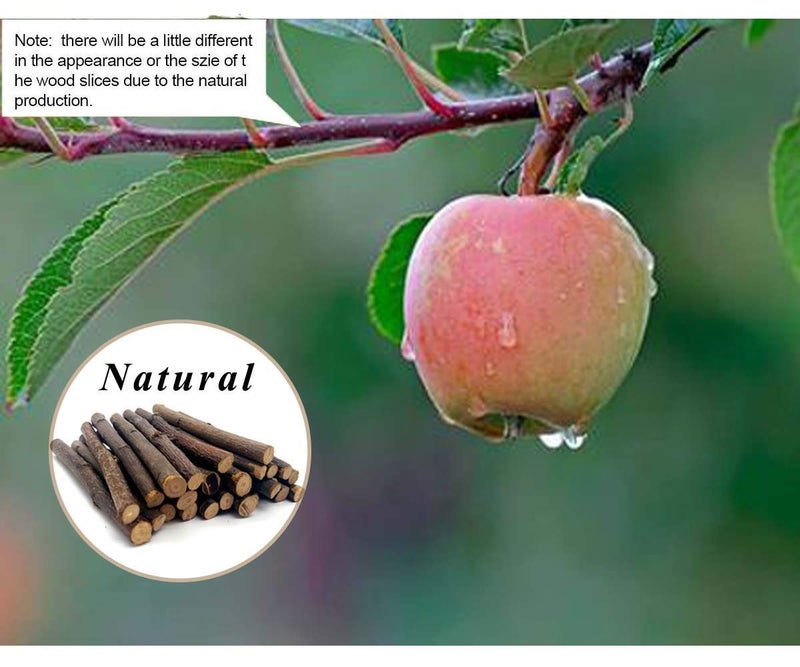 William Craft Apple Sticks Pet Chew Toys Treats for Chinchilla Guinea Pigs Rabbits Squirrel Hamster Bunny - Image 4